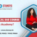 Why Choose the Clinical SAS Course At Stansys Academy?